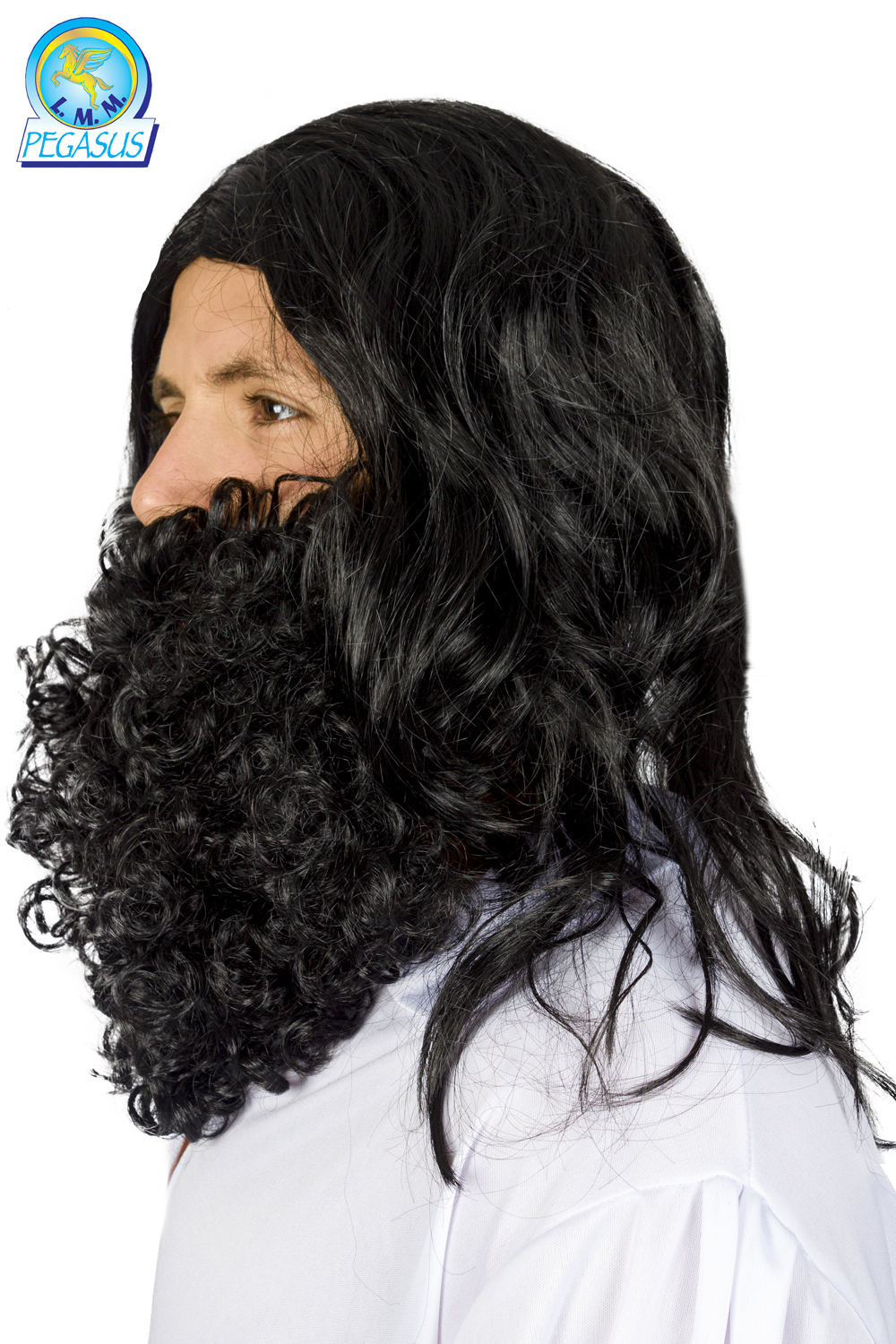 SET PARRUCCA CON BARBA MANGIAFUOCO